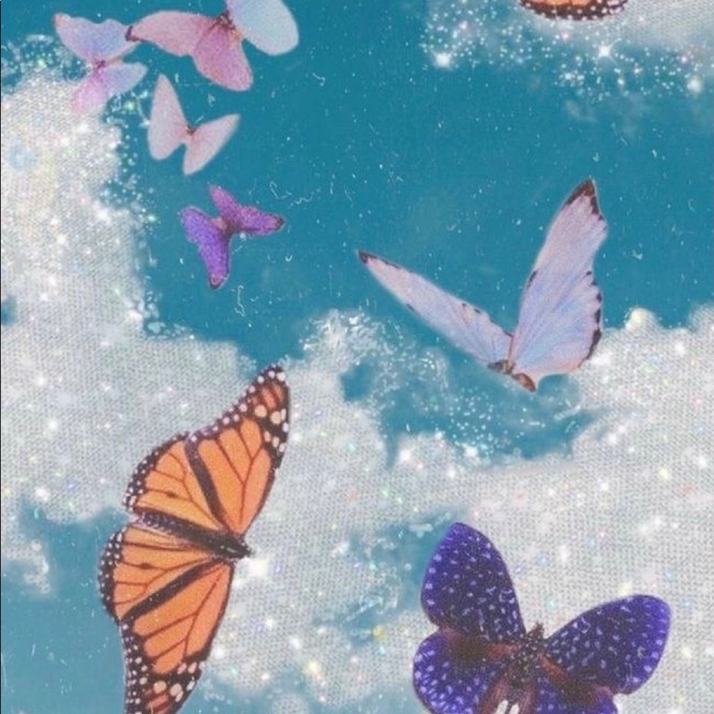 𝓜𝓮𝓮𝓽 𝓽𝓱𝓮 𝓹𝓸𝓼𝓱𝓮𝓻, ☆ 𝓖𝓻𝓪𝓬𝓮 ☆